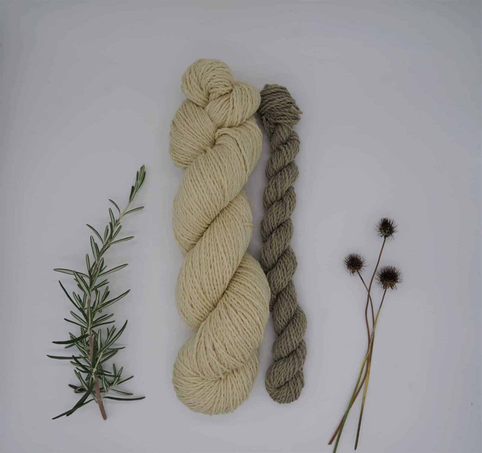 Natural Green Dyes For Yarn And Fabric Rosemary And Pines Fiber Arts