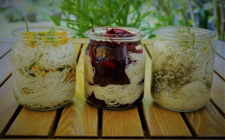 three glass jars prepped for solar dyeing