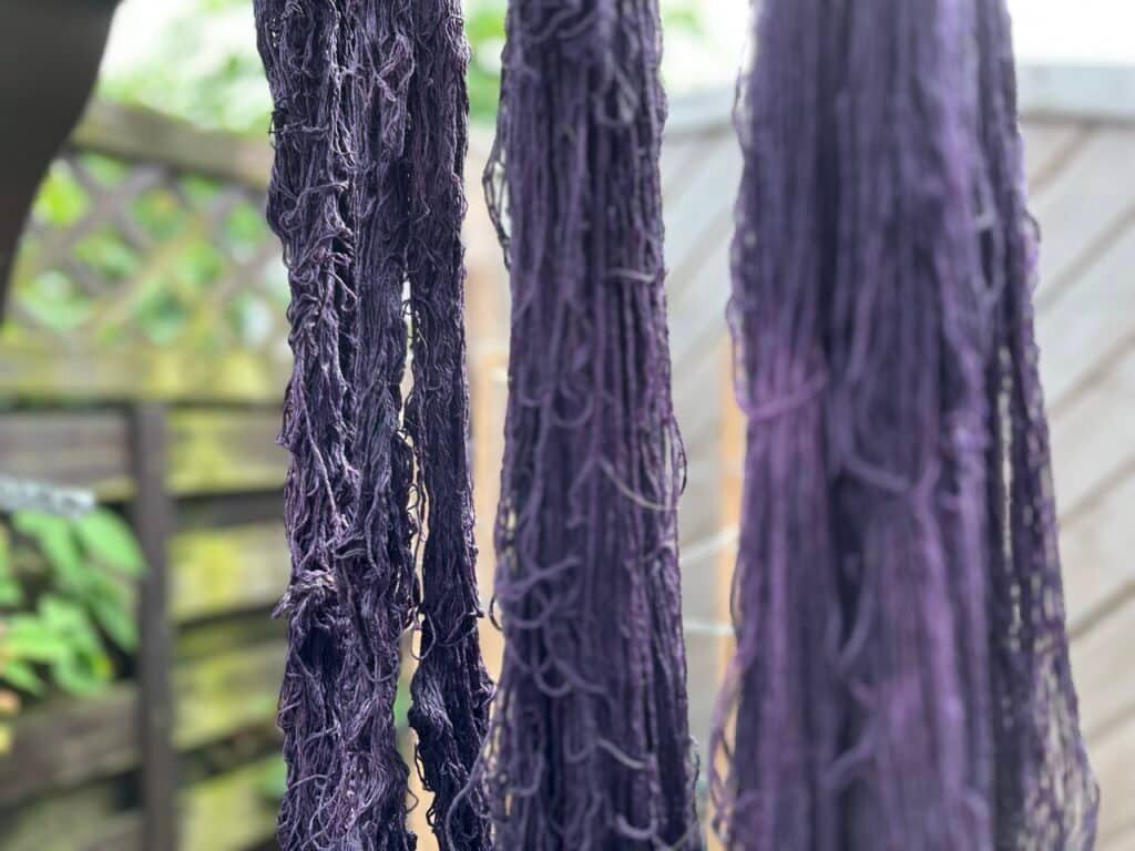 purple skeins of yarn that were dyed with logwood drying outside